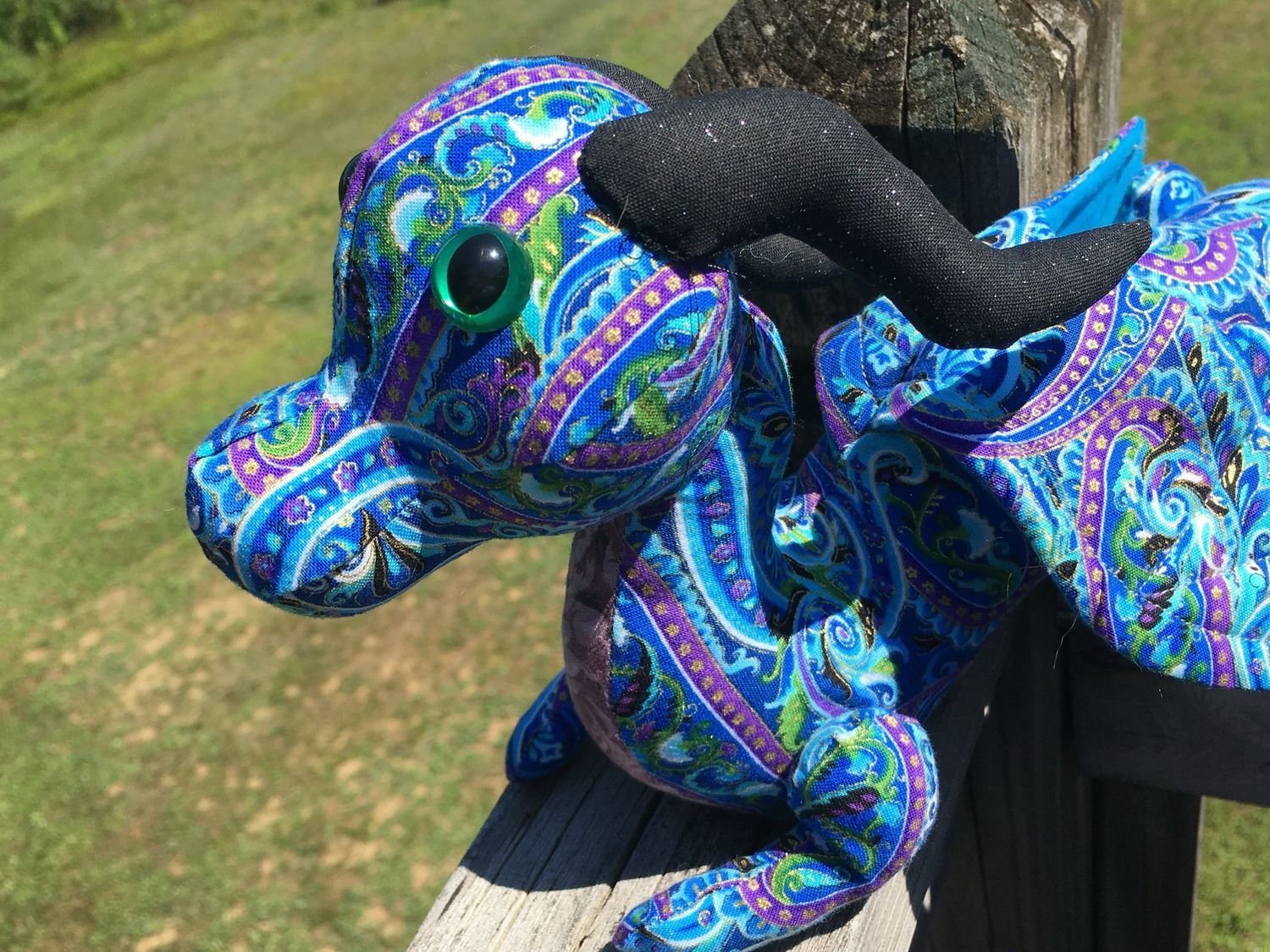 Dragon Photos