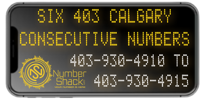 CONSECUTIVE SET OF SIX 403 CALGARY NUMBERS