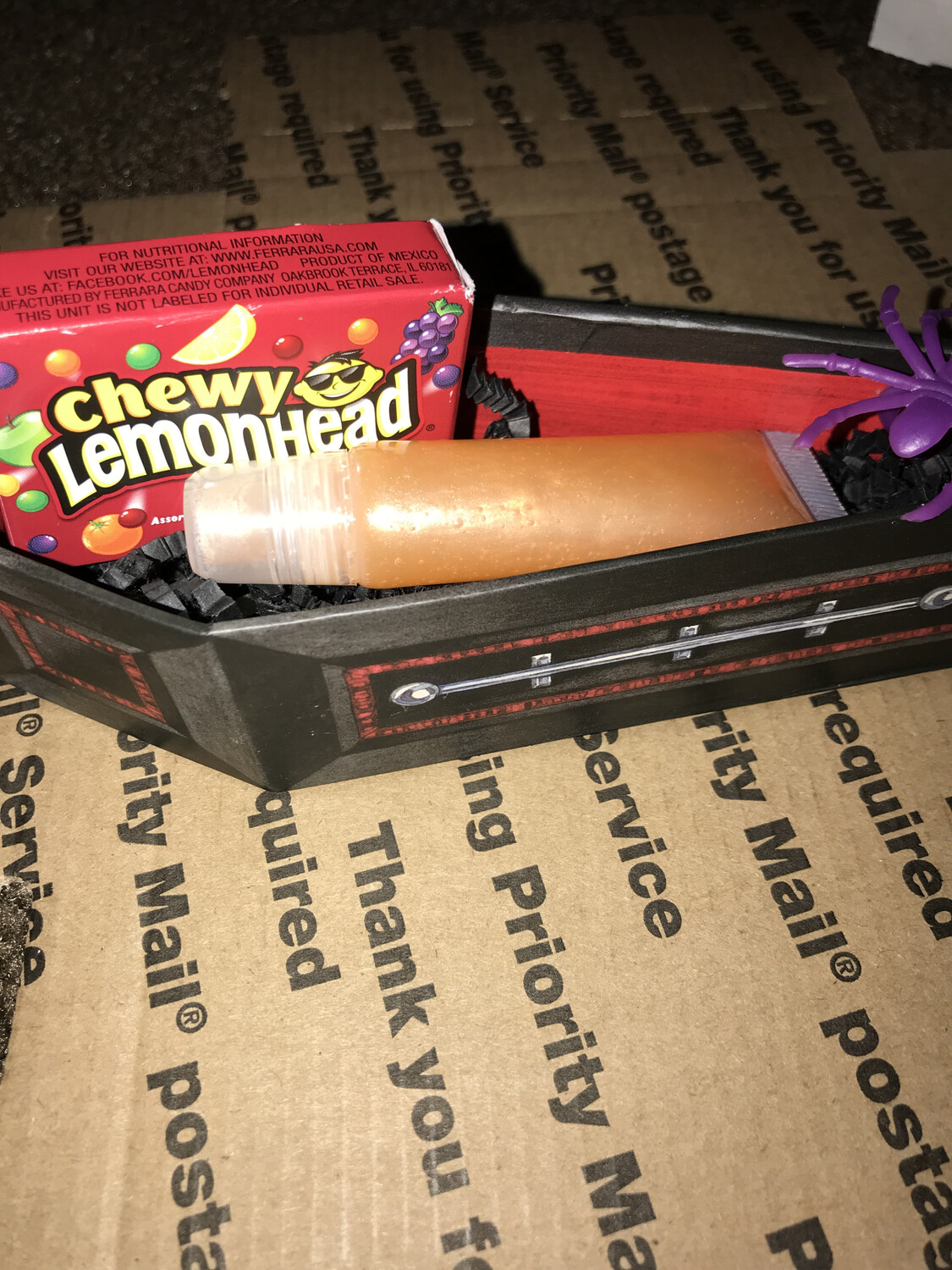 Vampire coffin