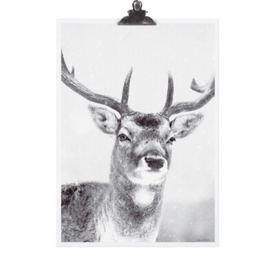 Poster "Deer"