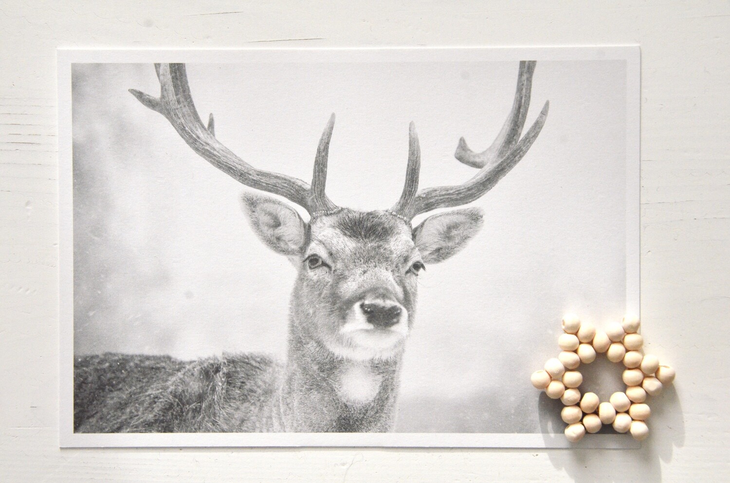 Postkarte "Hirsch“