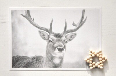 Postkarte Postkarte "Hirsch“