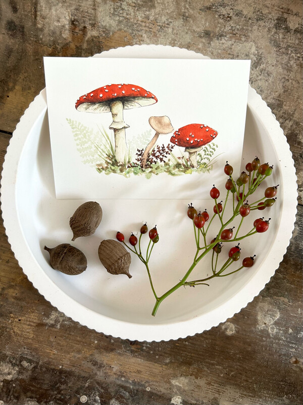 Postkarte “Fliegenpilze” Herbst Postkarte “Fliegenpilze” Herbst