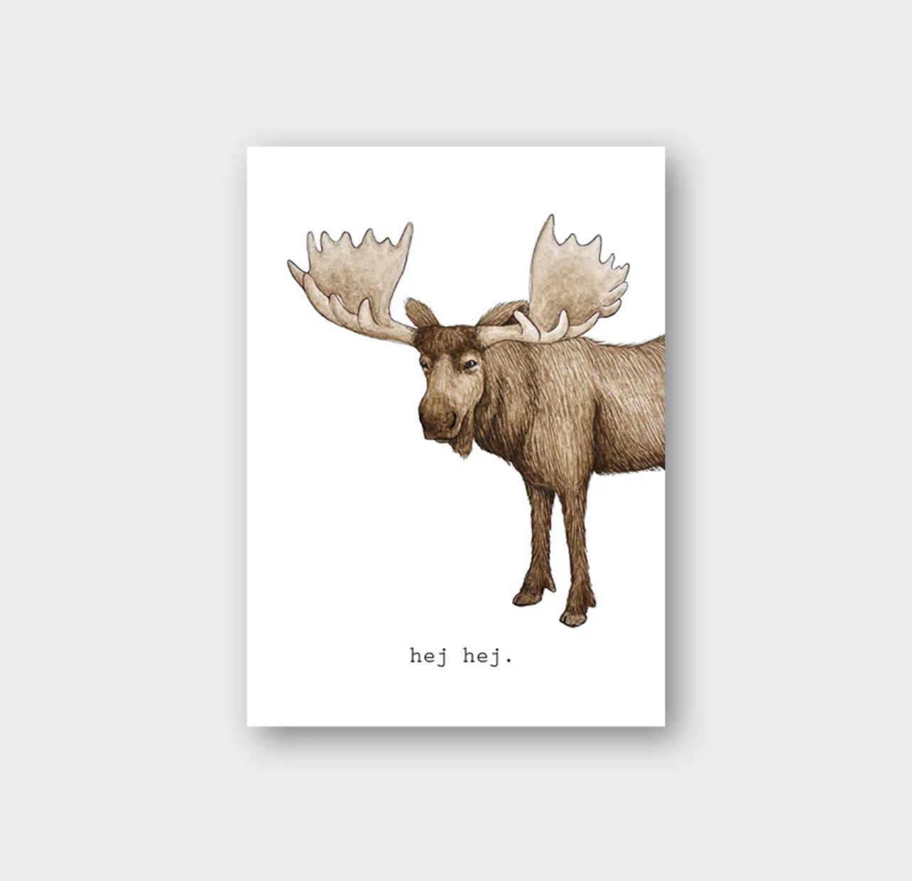 Postkarte „Elch“