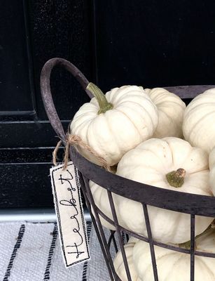 Baby Boo Kürbis “groß"