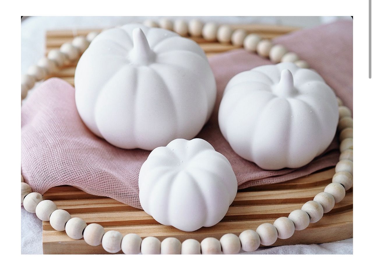 Kürbis Raysin, in drei Grössen