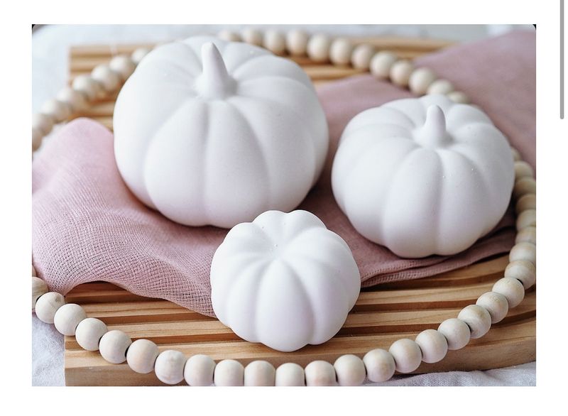 Kürbis Raysin, in drei Grössen Kürbis Raysin, in drei Grössen