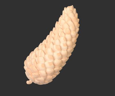 Handgeschnitzte Fichtenzapfen aus Zirbenholz, in 7cm und 10cm