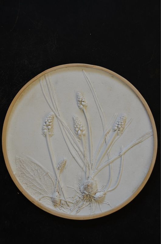 Rundes Relief “Muscari gross”