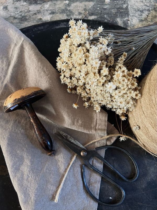 Alter Vintage Holzpilz handbemalt, mit Spruch „Der Riesengebirgspilz…“ Glückspilz Alter Vintage Holzpilz handbemalt, mit Spruch „Der Riesengebirgspilz…“ Glückspilz