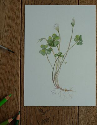 Postkarte „Viel Glück“ mit Glücksklee