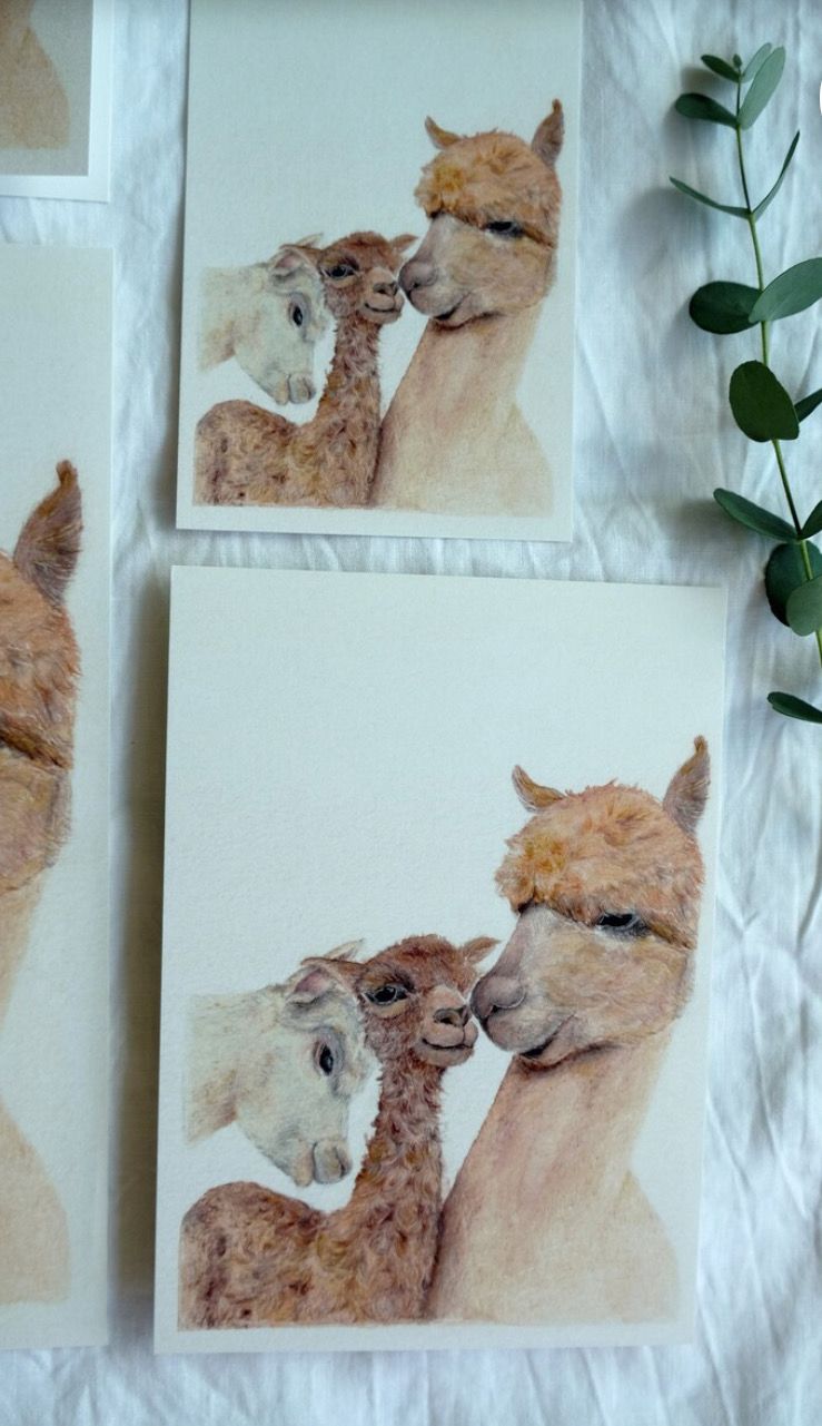 Postkarte „Alpakababy“