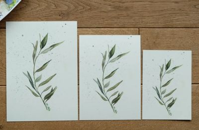 Postkarte „Olivenzweig“