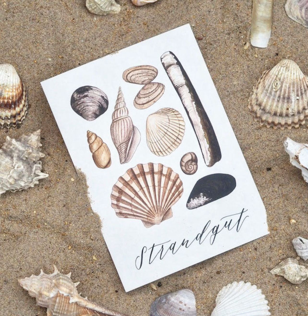 Postkarte „Strandgut“ von Frollein Lücke