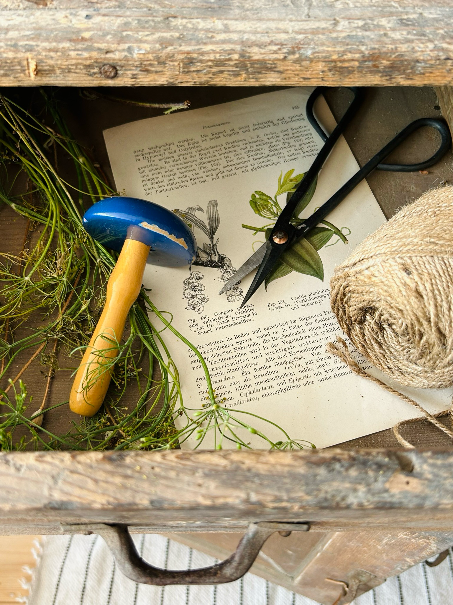 Alter Vintage Stopfpilz „Blaukäppchen“ Glückspilz