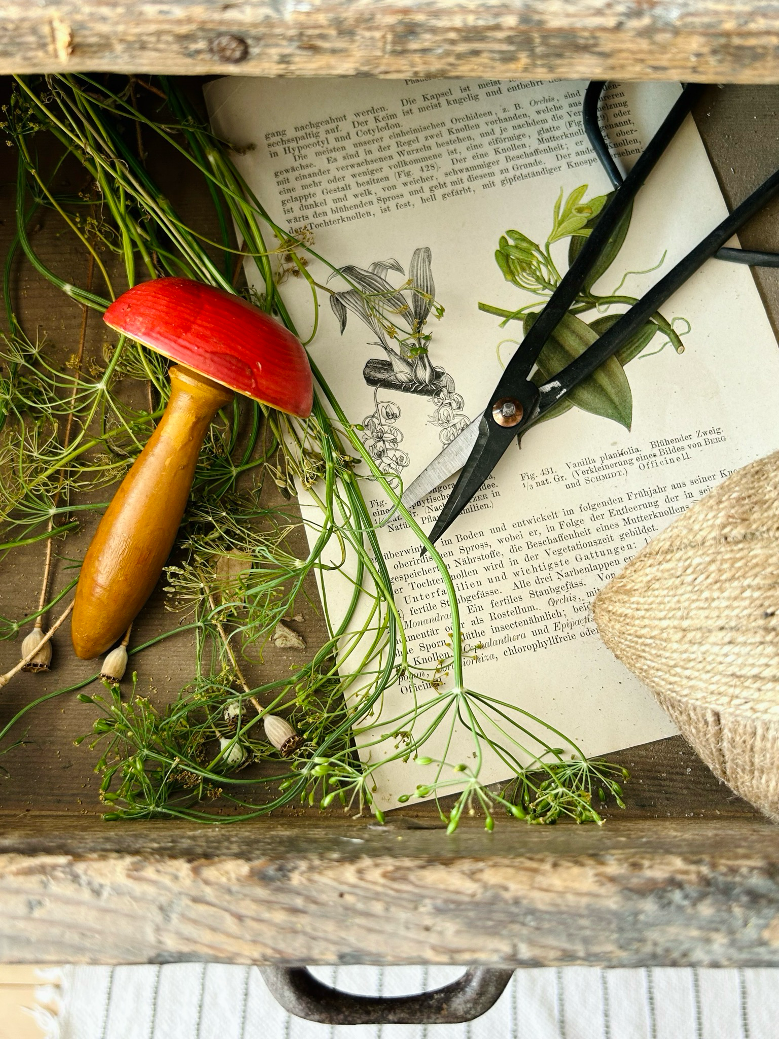 Alter Vintage Stopfpilz „Rotkäppchen“ Glückspilz