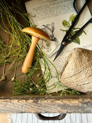 Alter Vintage Stopfpilz „Naturpilzchen“ Glückspilz