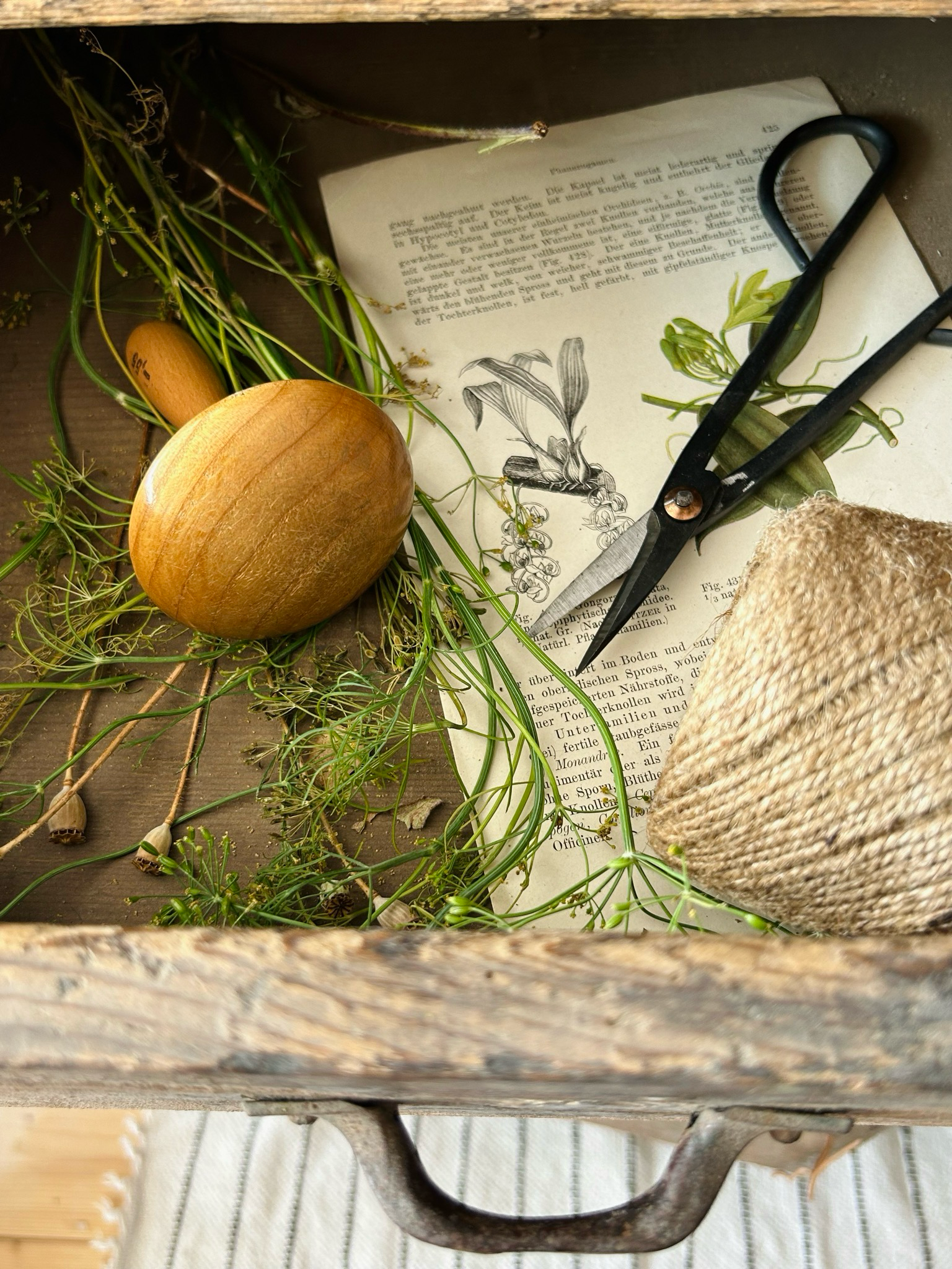 Alter Vintage Stopfpilz „Naturpilzchen“ Glückspilz