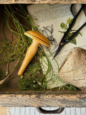 Alter Vintage Stopfpilz „Naturpilz mit Rand“ Glückspilz