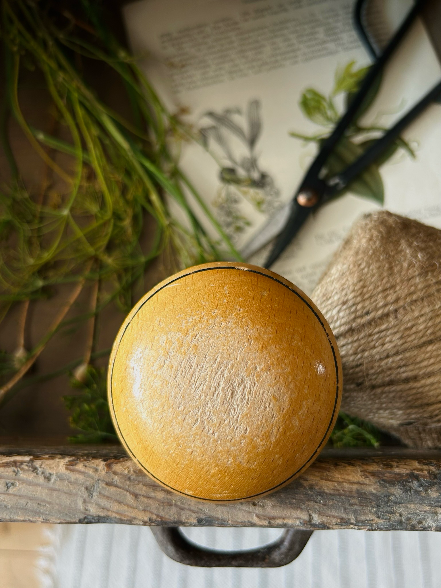 Alter Vintage Stopfpilz „Naturpilz mit Rand“ Glückspilz