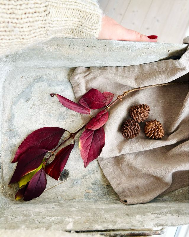 Handgeschnitzte Zapfen Latschenkiefer aus Walnussholz, in 4cm Handgeschnitzte Zapfen Latschenkiefer aus Walnussholz, in 4cm