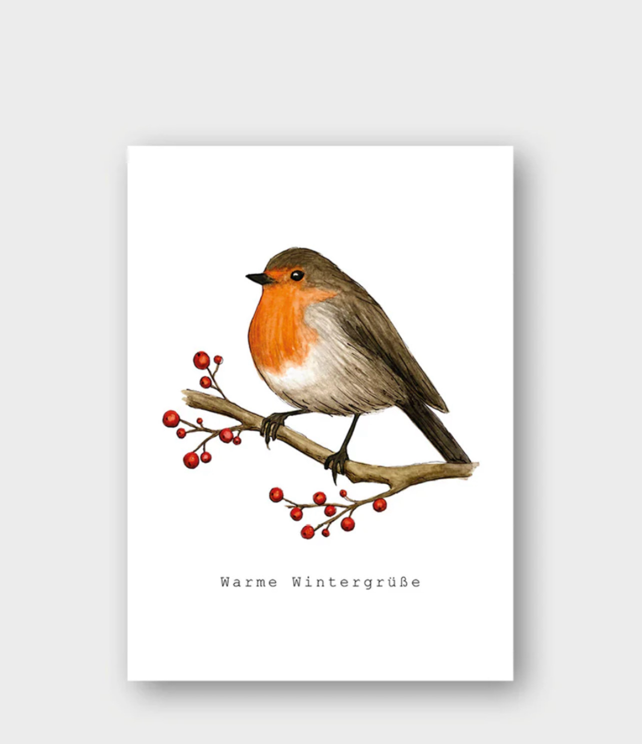 Postkarte Weihnachten „Warme Wintergrüße“ Rotkehlchen