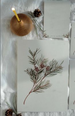 Postkarte Kiefernzweig von Mela