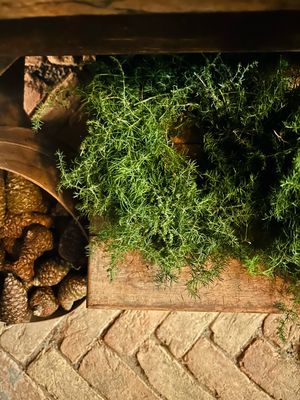 Frisch gebundener Asparaguskranz „Natur“, in 20 cm