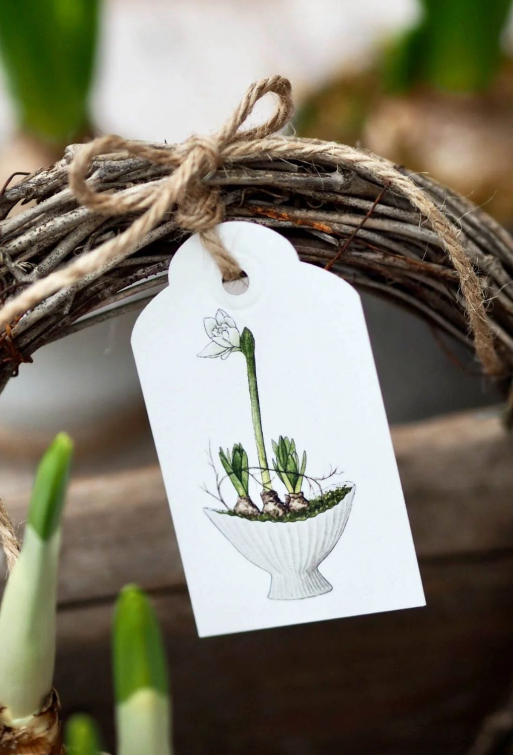 Geschenkanhänger „Frühling“ Amaryllis von Frollein Lücke