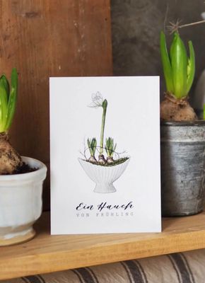 Postkarte „Ein Hauch von Frühling“ Amaryllis von Frollein Lücke