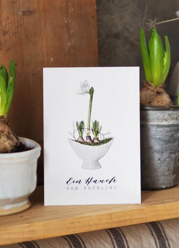 Postkarte „Ein Hauch von Frühling“ Amaryllis von Frollein Lücke