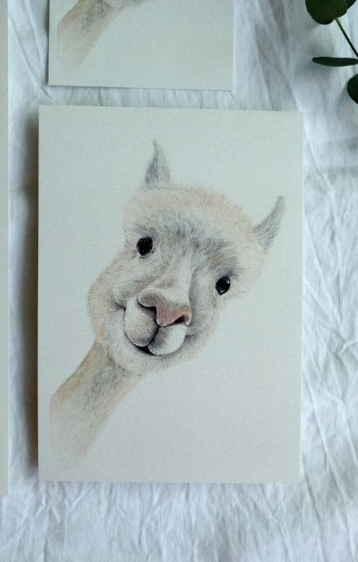 Postkarte „Alpaka Frieder“