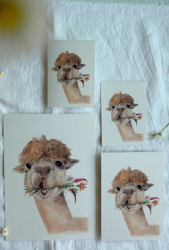 Postkarte „Alpaka Fritz“