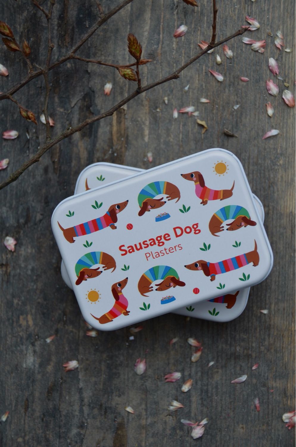 Pflaster „Dackel“ in der Dose