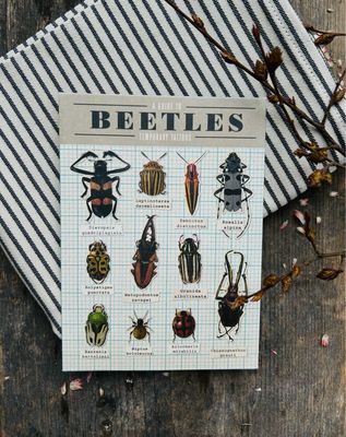 Temporäre Klebetattoos „Käfer“