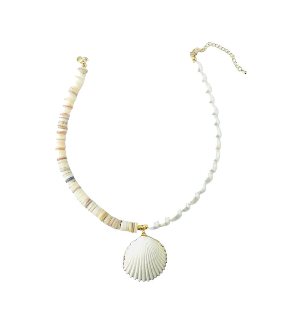 COLLIER SHELLWASHERS