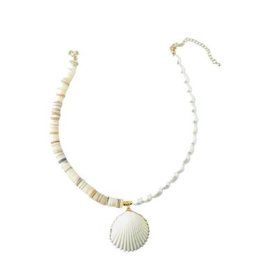 COLLIER SHELLWASHERS
