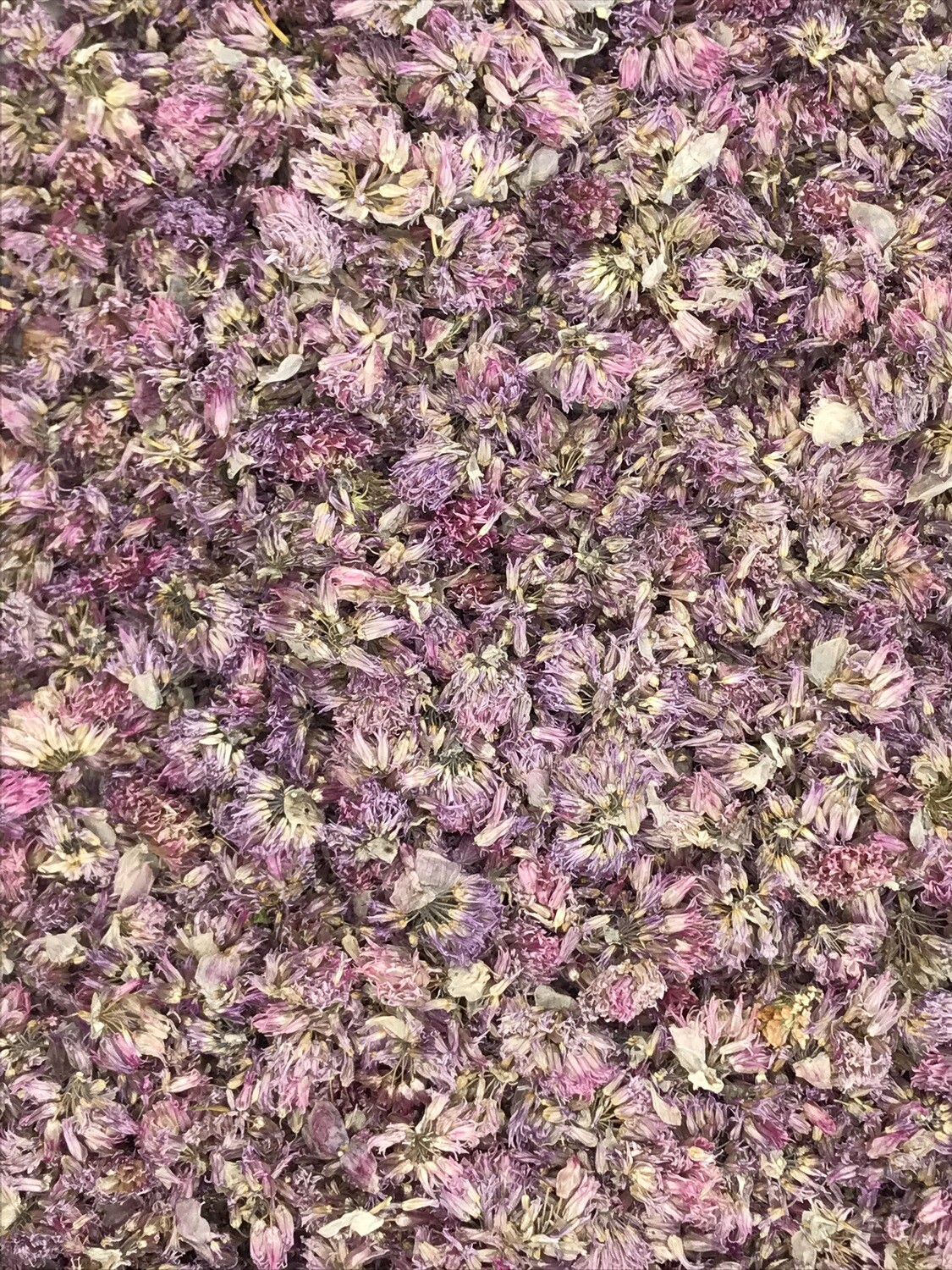 Fiori di erba cipollina disidratati