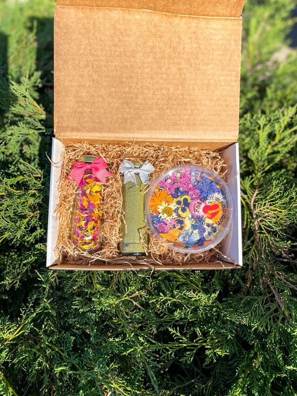 SET "PETALOSO"