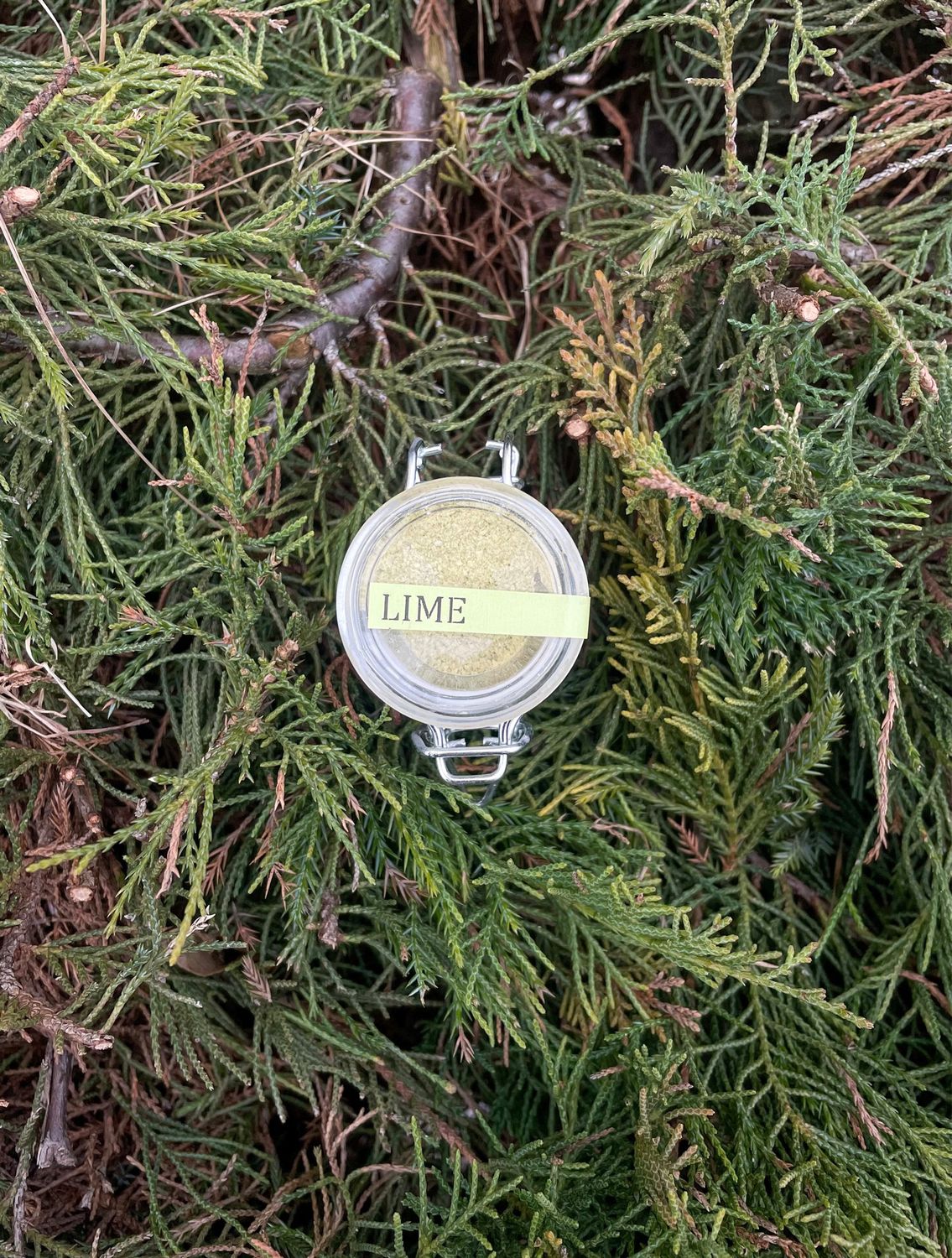 Lime disidratato e macinato