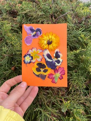 BIGLIETTINO D'AUGURI FLOREALE BIGLIETTINO D'AUGURI FLOREALE