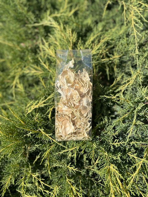 Finocchio disidratato-40g