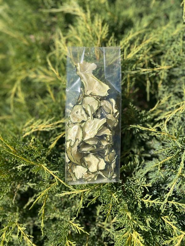 Zucchina disidratata-30g