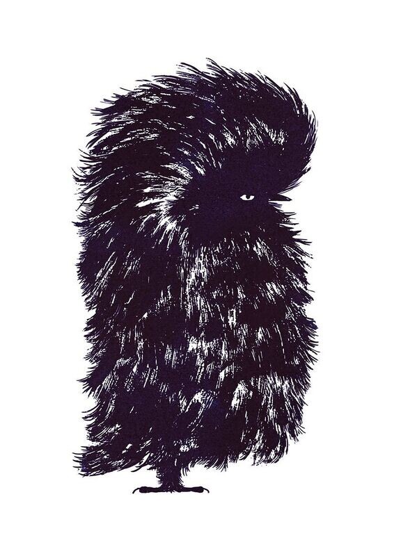 Fashion Bird 01- Paul Faassen
