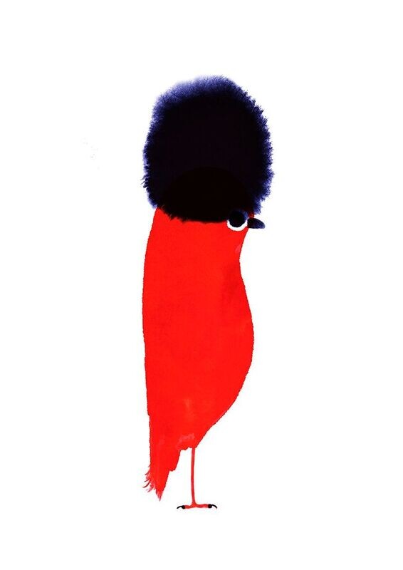 Fashion Bird 02- Paul Faassen
