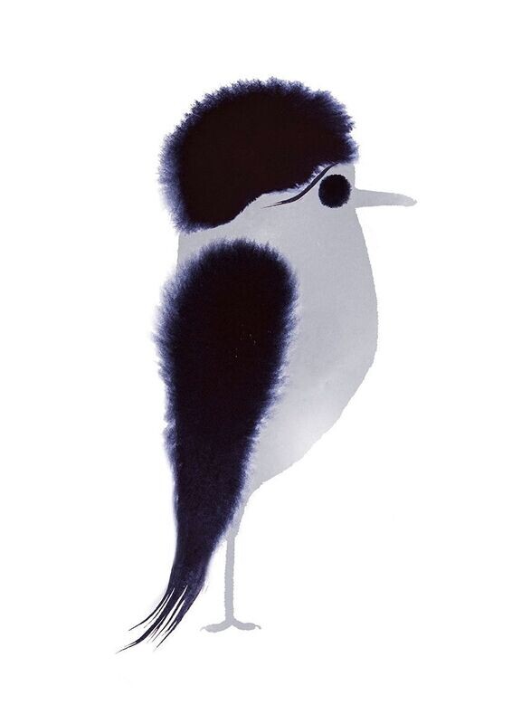 Fashion Bird 03- Paul Faassen