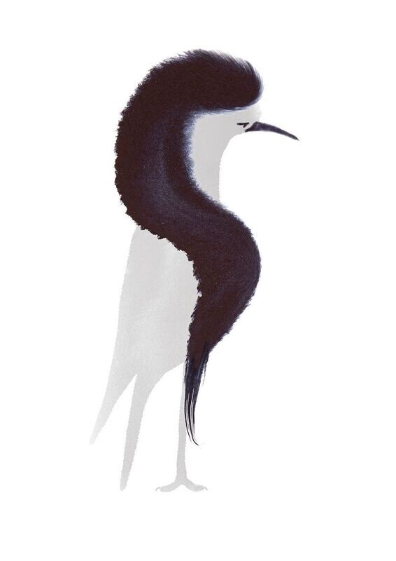 Fashion Bird 05- Paul Faassen