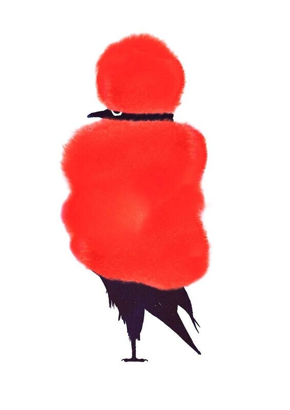 Fashion Bird 06- Paul Faassen