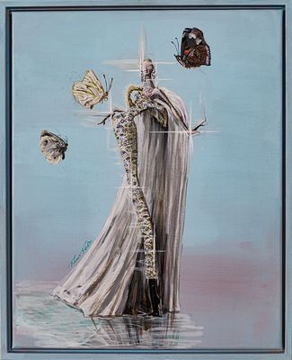 FLORIS FELIX - SCHIAPARELLI MOTH