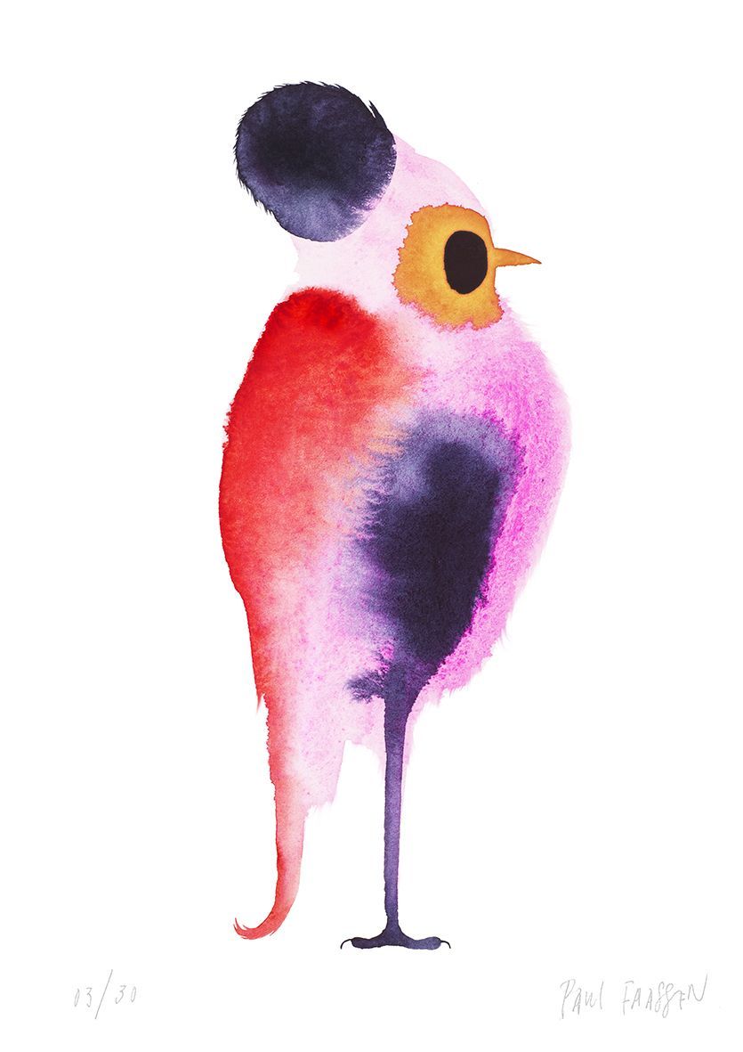 Paul Faassen -  'The Indigo Crested Pink Breasted Redtail'